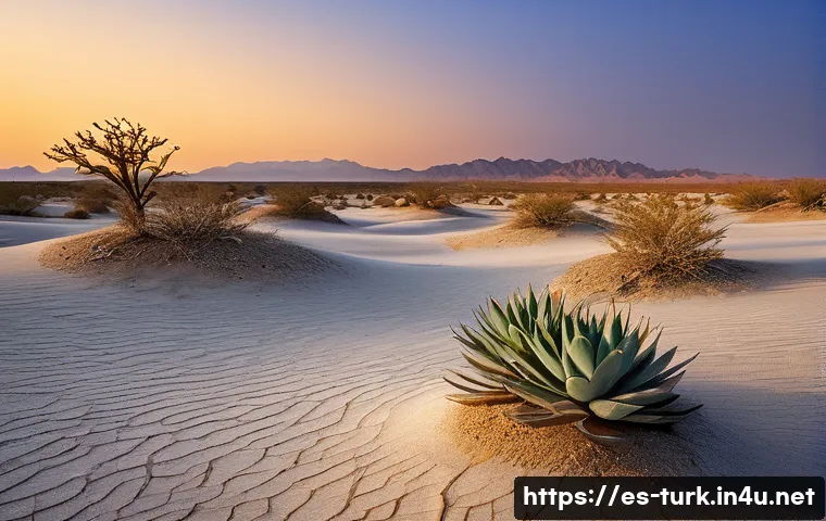 투르크메니스탄 생태계 보존 노력 - A detailed desert landscape in Turkmenistan at dusk, showcasing native flora such as drought-resista...